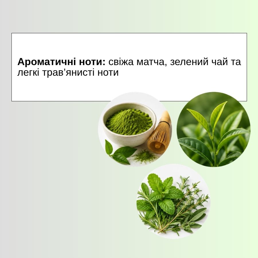 ÉLAN ELEMENTIX LAB Matcha + Ceramide NP Body Cream 350 ml - Image 4